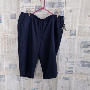 Navy Capri Pants